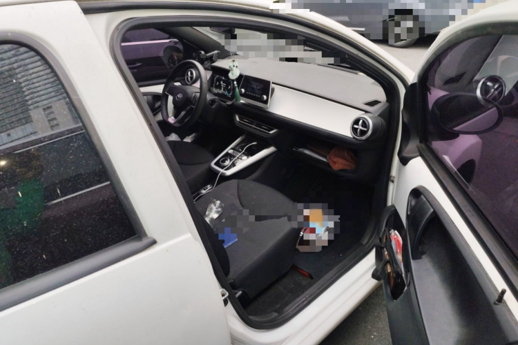 BYD e1 2019 #27 BYD e1 2019 car image #27