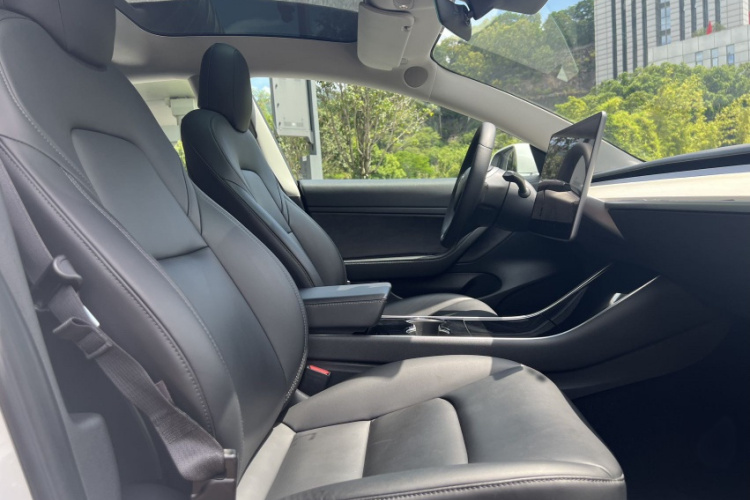 Tesla Model 3 2020 car image #27