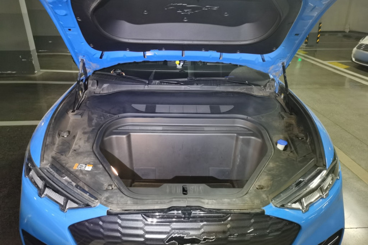 Ford Mustang Mach-E 2022 car image #27