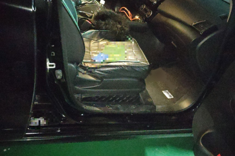 日产 轩逸·纯电 2019 汽车图片 #27