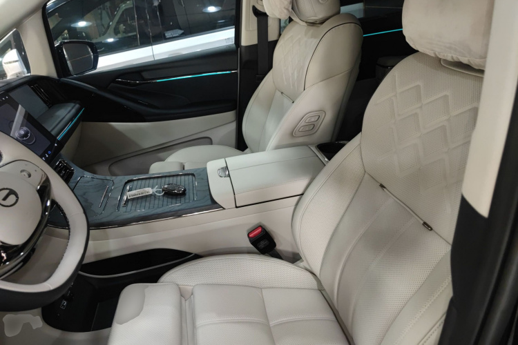 GAC Trumpchi Xiangwang M8 2025 car image #27