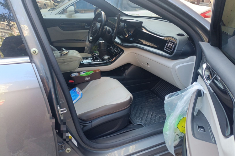 BYD Qin Plus 2024 immagine di auto #27