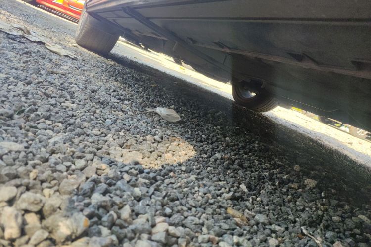 GEELY Emgrand GS 2020 #27 GEELY Emgrand GS 2020 car image #27