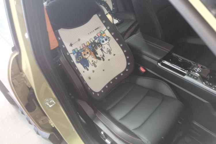 GEELY Cowboy 2024 #27 GEELY Cowboy 2024 car image #27