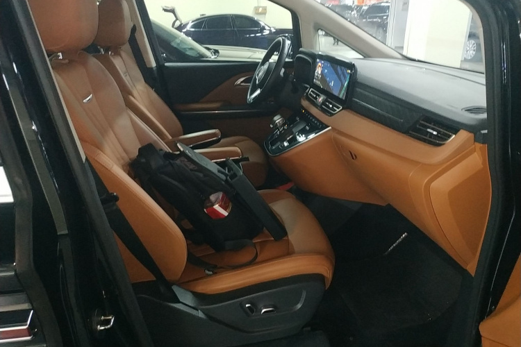 HongQi HQ9 PHEV 2024 #27 HongQi HQ9 PHEV 2024 car image #27