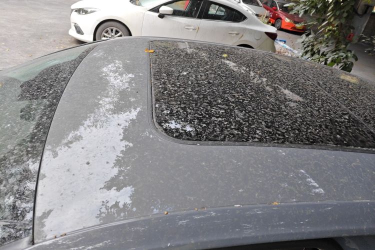 Volkswagen Passat New Energy 2019 #27 Volkswagen Passat New Energy 2019 صورة سيارة #27