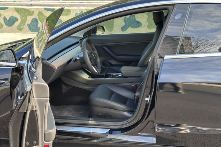 Tesla Model 3 2020 car image #27