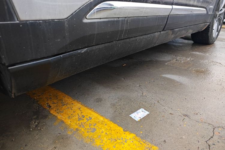 睿蓝汽车 睿蓝9 2023 汽车图片 #27