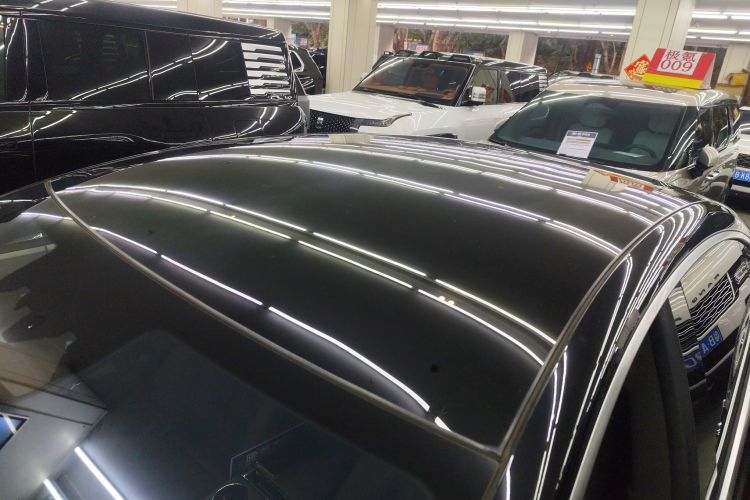 Denza Z9 2024 car image #27