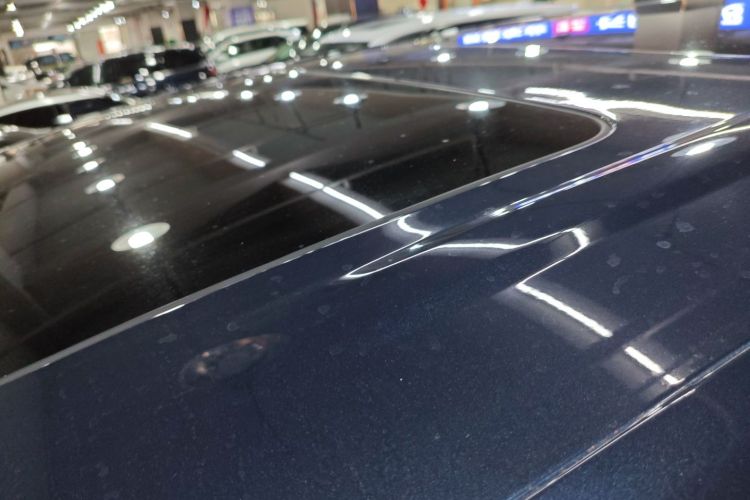 Denza D9 2023 imagen de coche #27