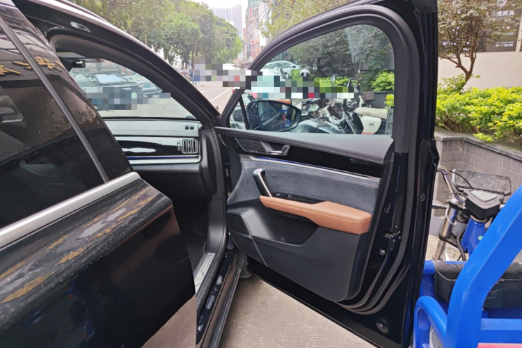 BYD Tang New Energy 2021 car image #27