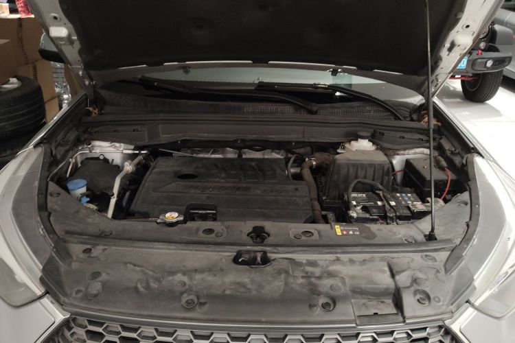 Haval H6 Coupe 2020 imagen de coche #27