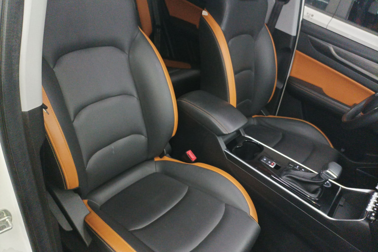 Showjet Pro 2021 car image #27