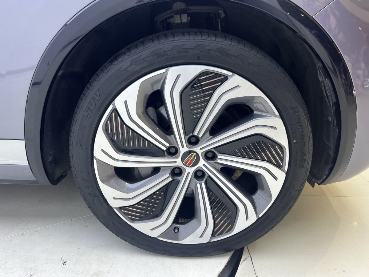 HongQi E-HS9 2022 car image #27