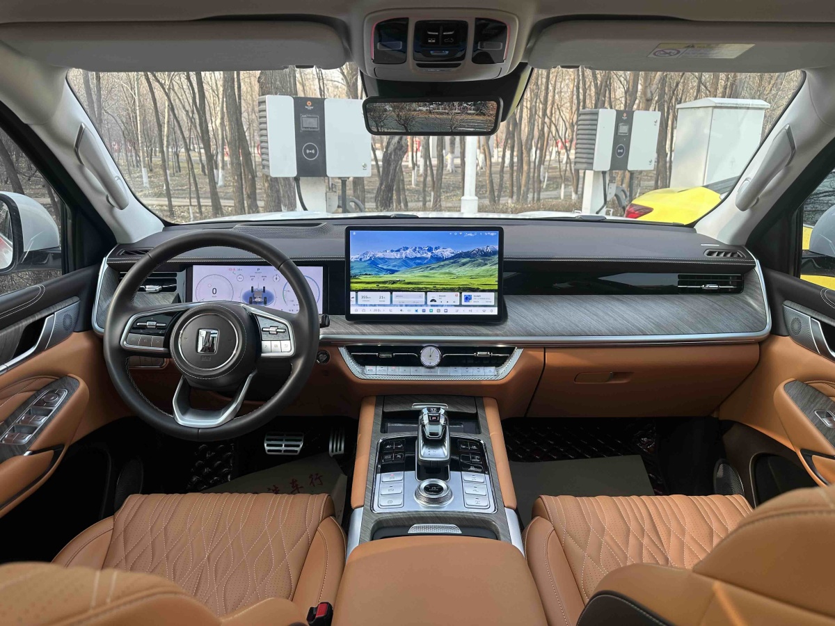 Tank 500 New Energy 2024 car image #27