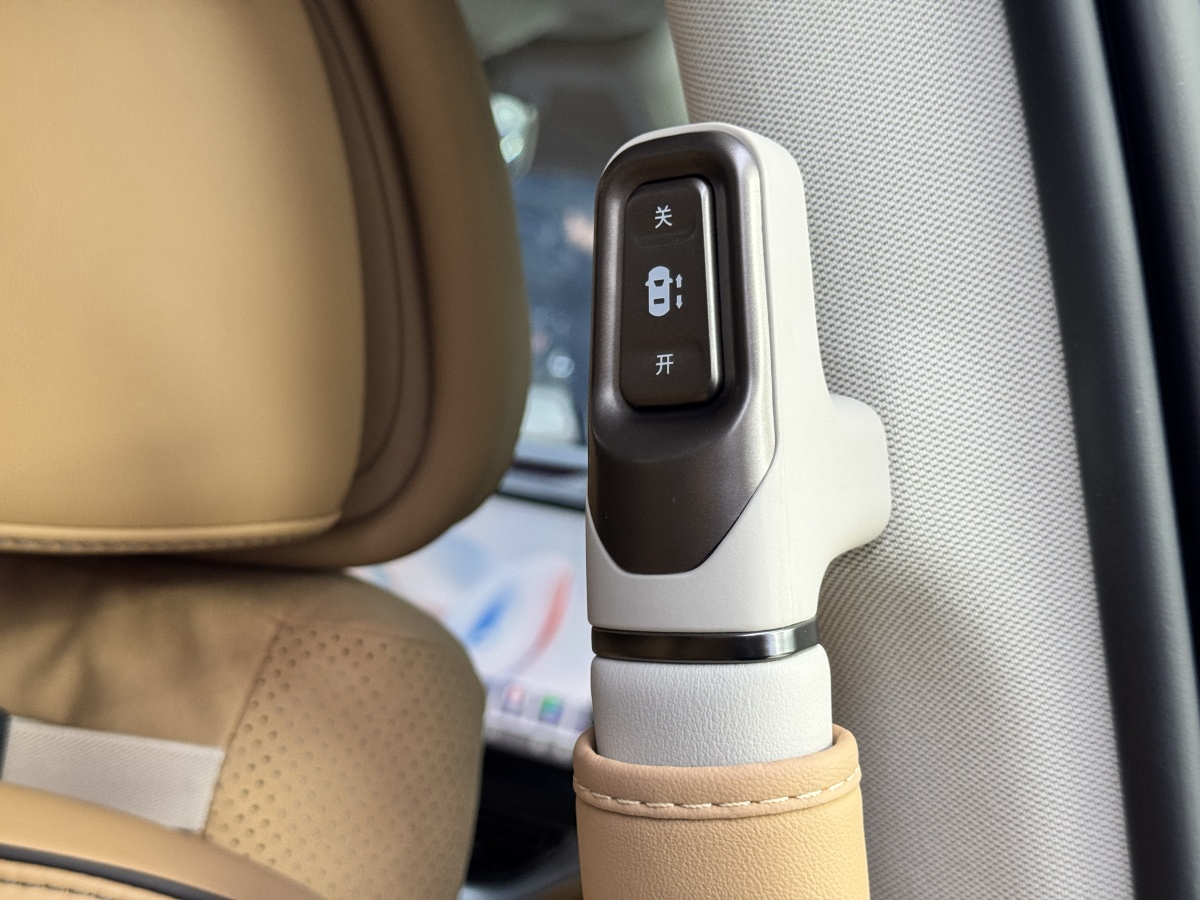 腾势 腾势D9 2024 汽车图片 #27