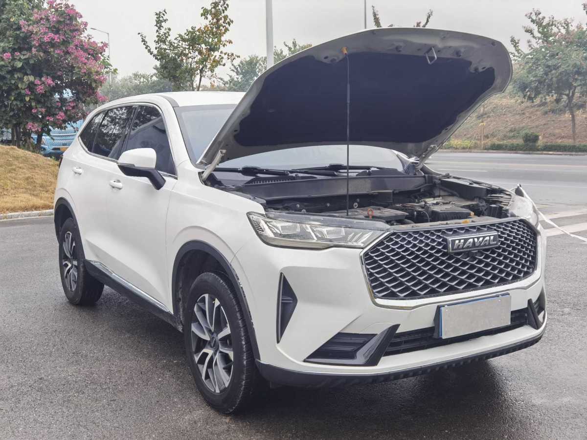 Haval H6 2021 #27 Haval H6 2021 car image #27