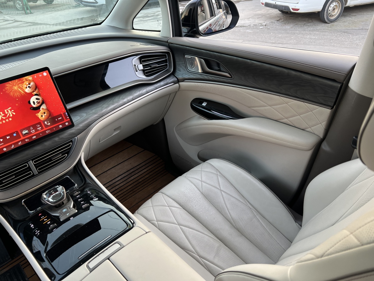 Denza D9 2023 image de voiture #27