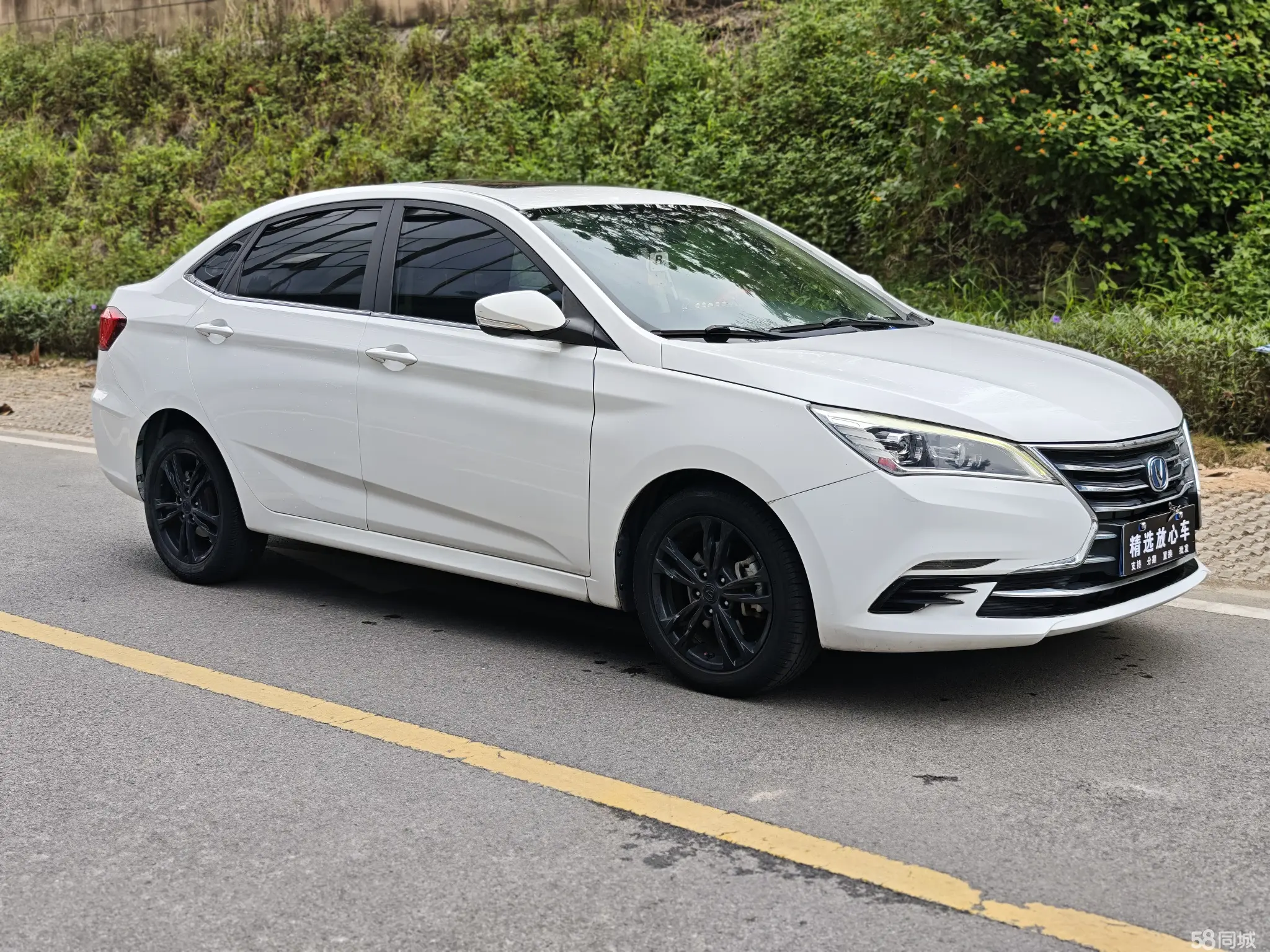 Changan Eado DT 2019 car image #27