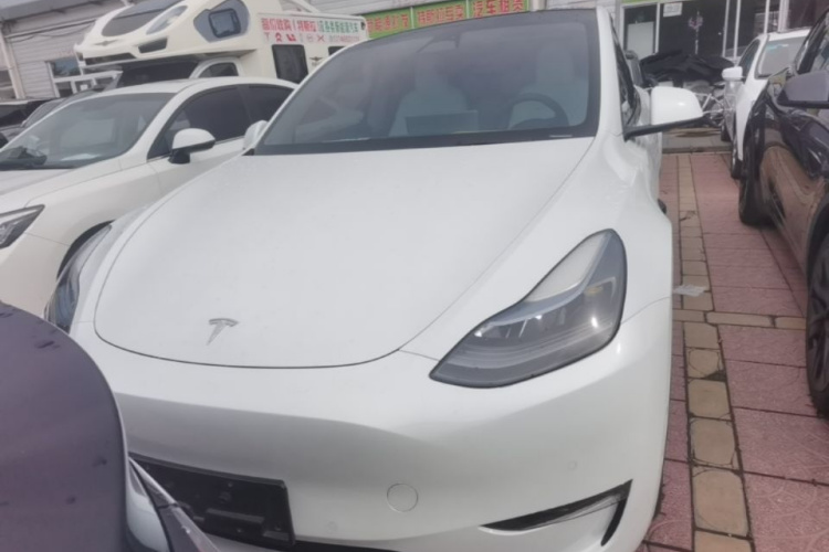 Tesla Model Y 2023 #3 Tesla Model Y 2023 car image #3