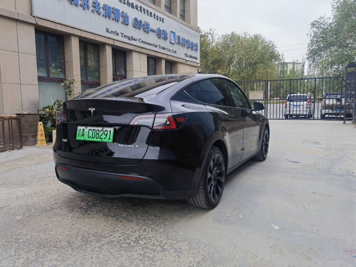 Tesla Model Y 2021 car image #9