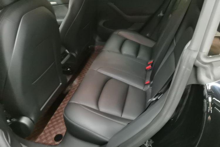 Tesla Model 3 2021 immagine di auto #17
