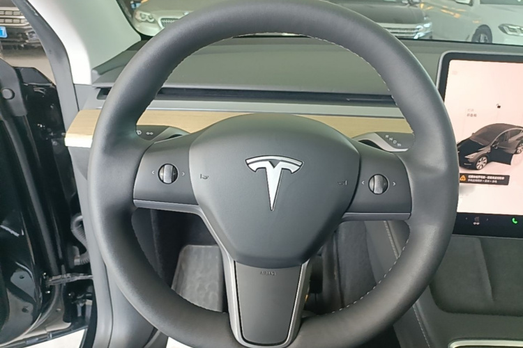Tesla Model Y 2023 car image #11