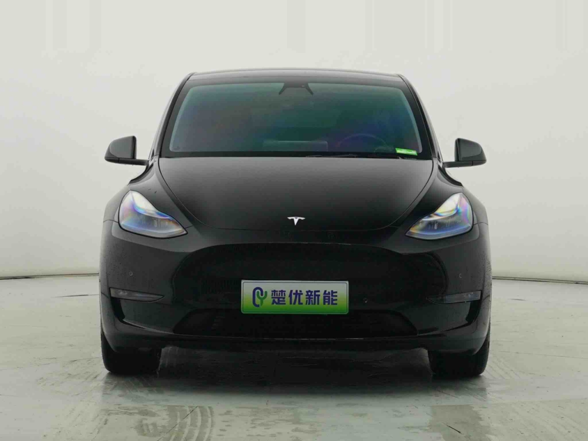 Tesla Model Y 2021 #3 Tesla Model Y 2021 car image #3