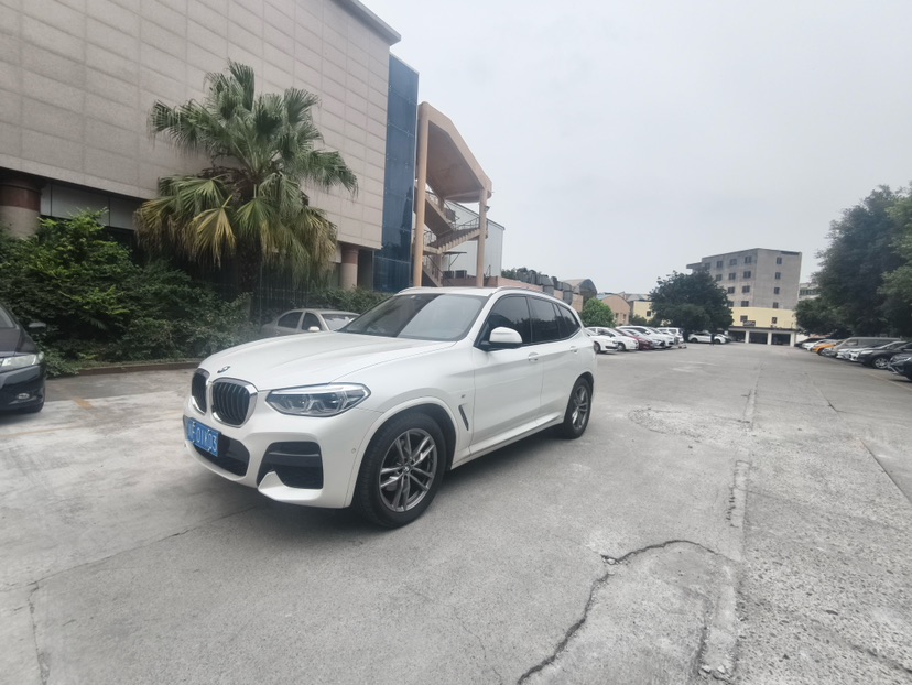 BMW X3 2019 immagine di auto 