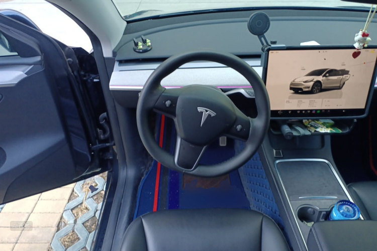 Tesla Model Y 2024 car image #12