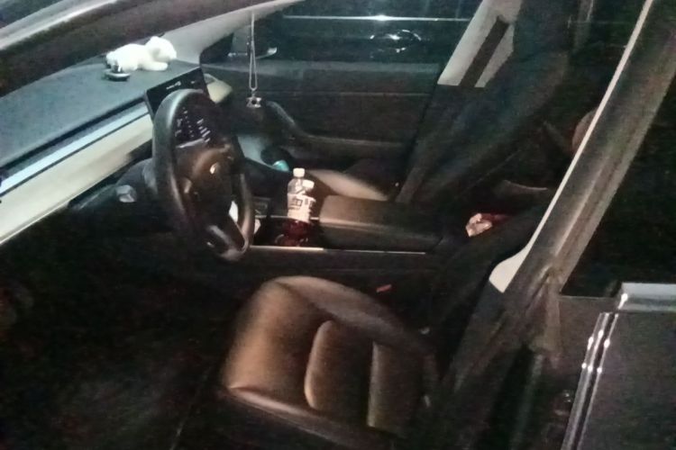 Tesla Model 3 2020 #15 Tesla Model 3 2020 car image #15