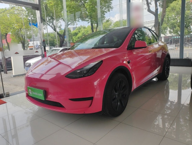 Tesla Model Y 2024 Tesla Model Y 2024 car image