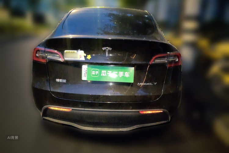 Tesla Model Y 2021 car image #6