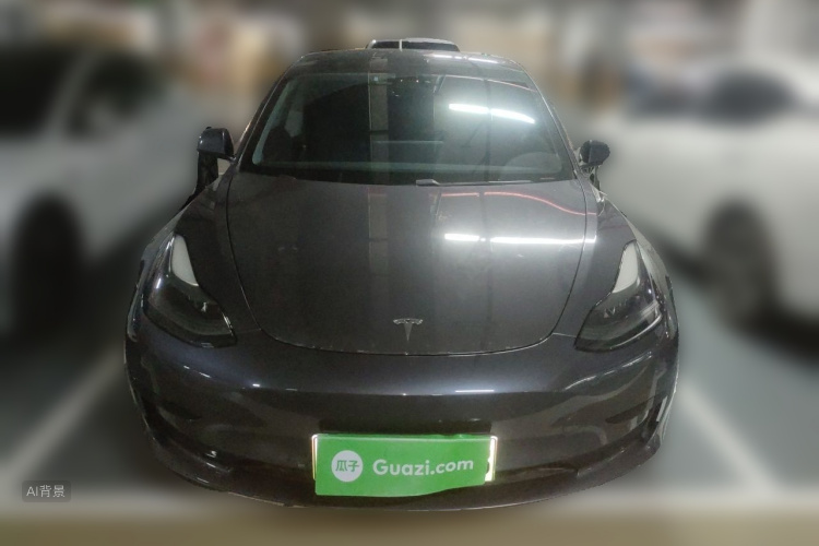 Tesla Model 3 2021 car image #3