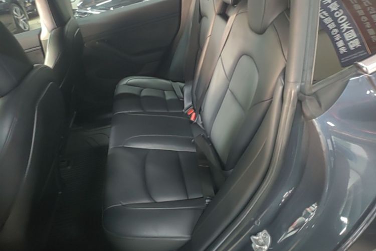Tesla Model 3 2020 car image #13