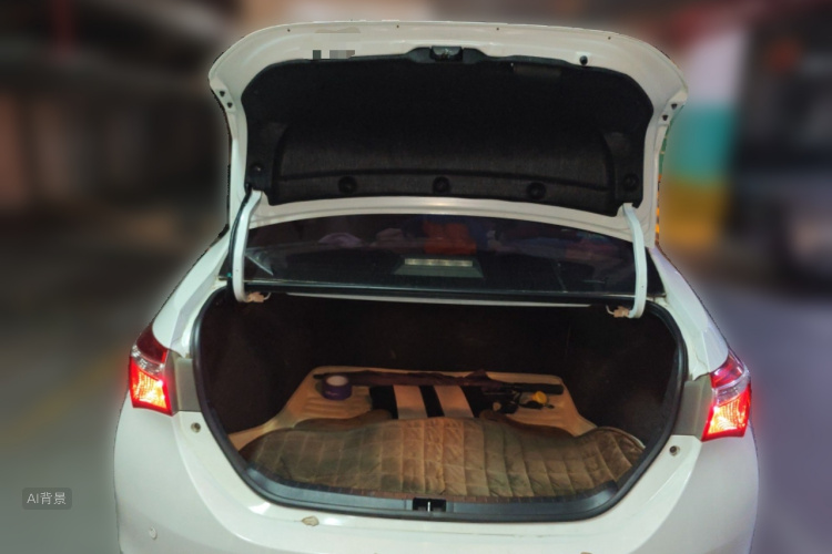 2016 #21 2016 car image #21