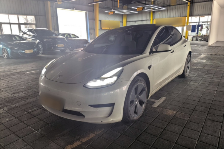 Tesla Model 3 2022 #2 Tesla Model 3 2022 car image #2