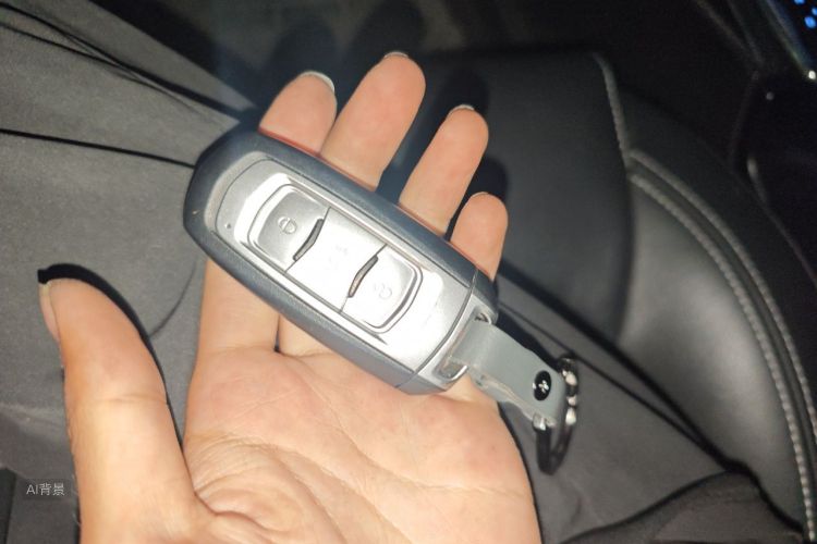 GEELY Emgrand 2016 car image #10