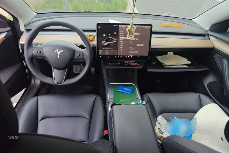 Tesla Model 3 2023 car image #11