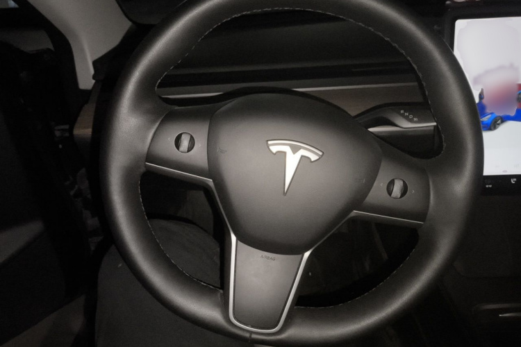 Tesla Model 3 2021 car image #15