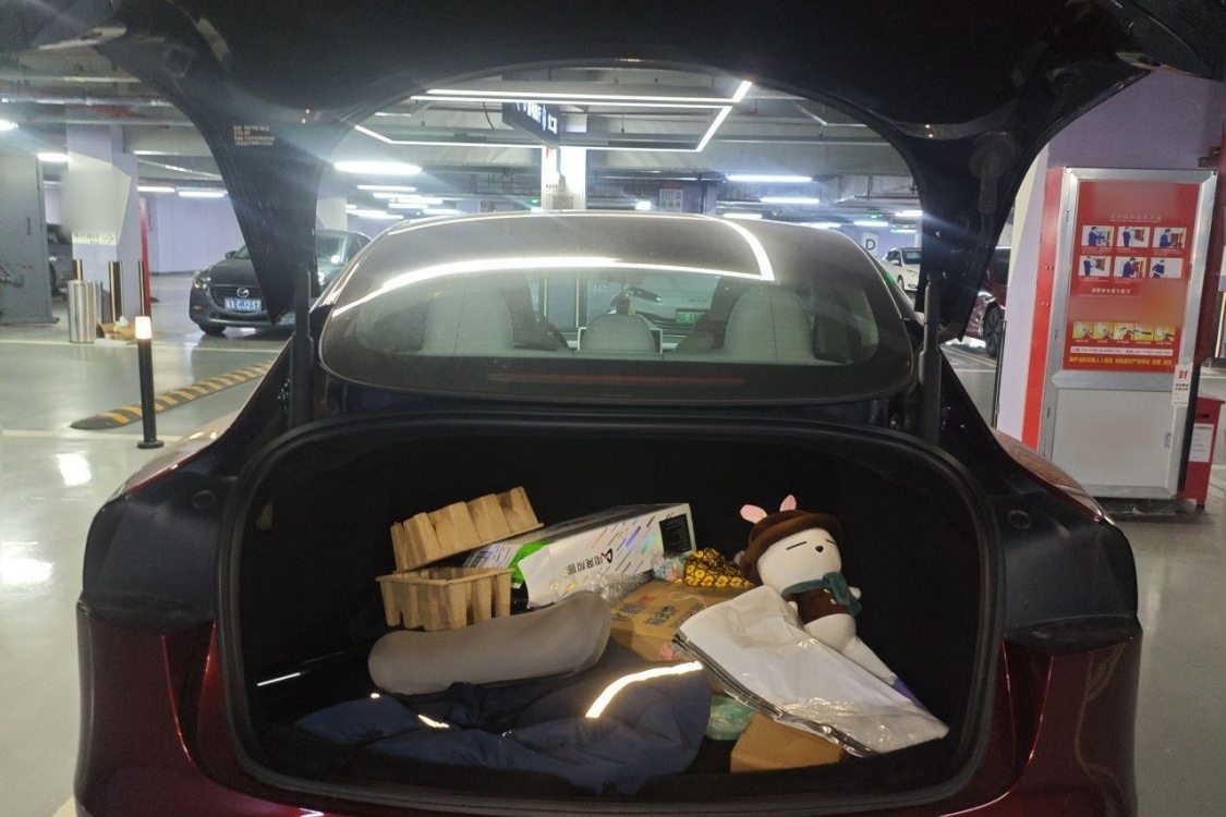 Tesla Model 3 2024 #8 Tesla Model 3 2024 car image #8