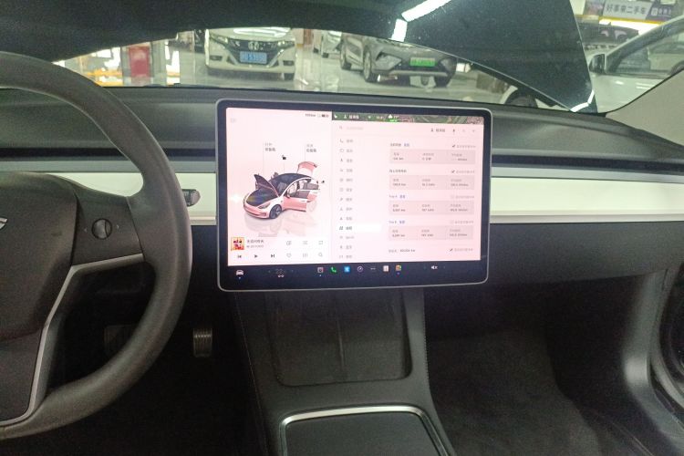Tesla Model 3 2022 #13 Tesla Model 3 2022 car image #13