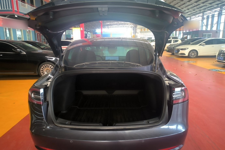 Tesla Model 3 2020 car image #19