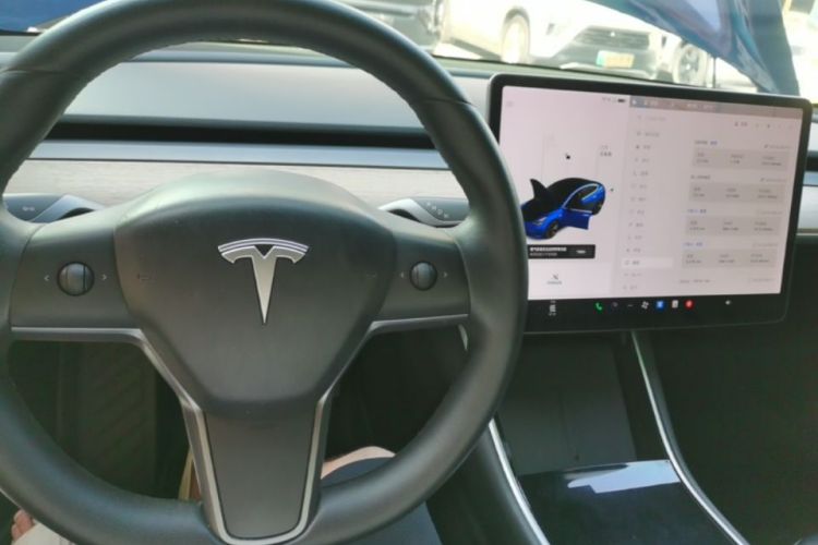 Tesla Model 3 2020 car image #10