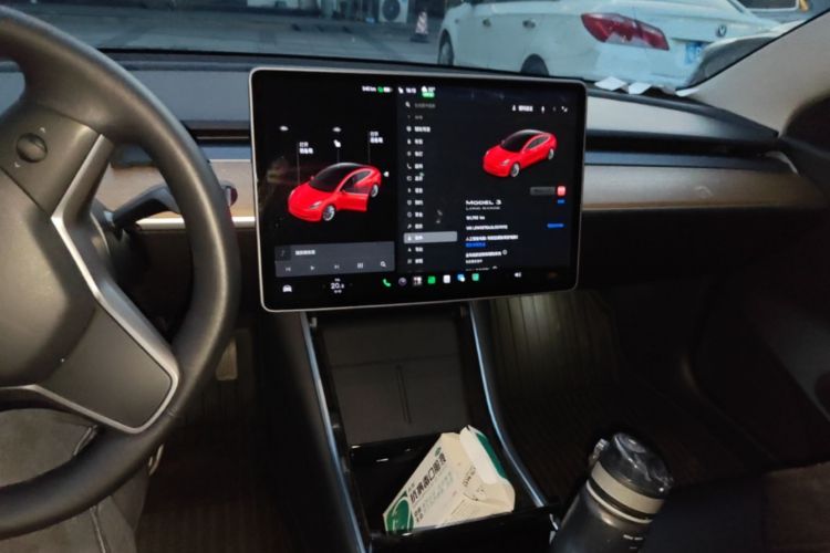 Tesla Model 3 2020 #13 Tesla Model 3 2020 car image #13