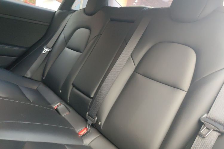 Tesla Model 3 2022 #10 Tesla Model 3 2022 car image #10