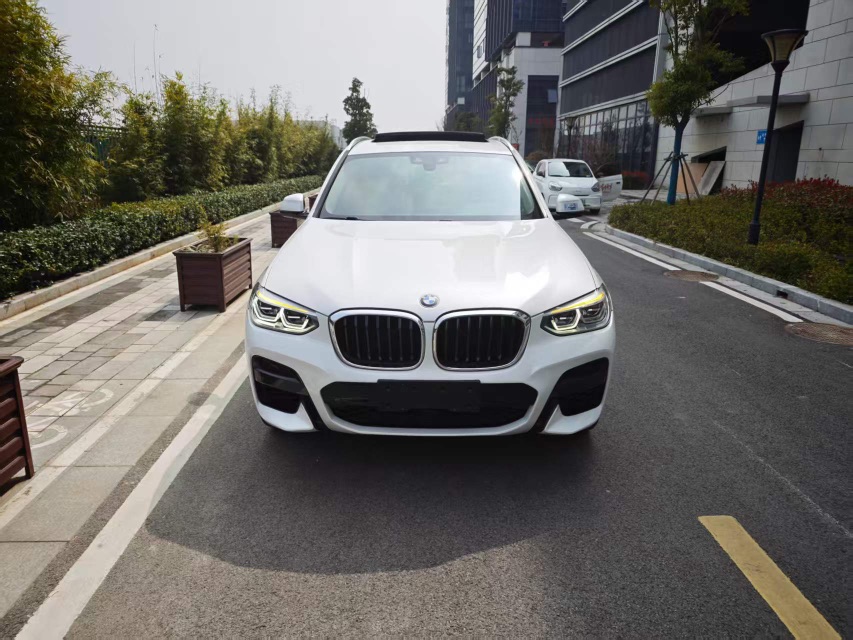 BMW X3 2021 immagine di auto 