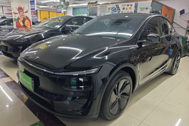 Tesla Model Y 2025 car image #2