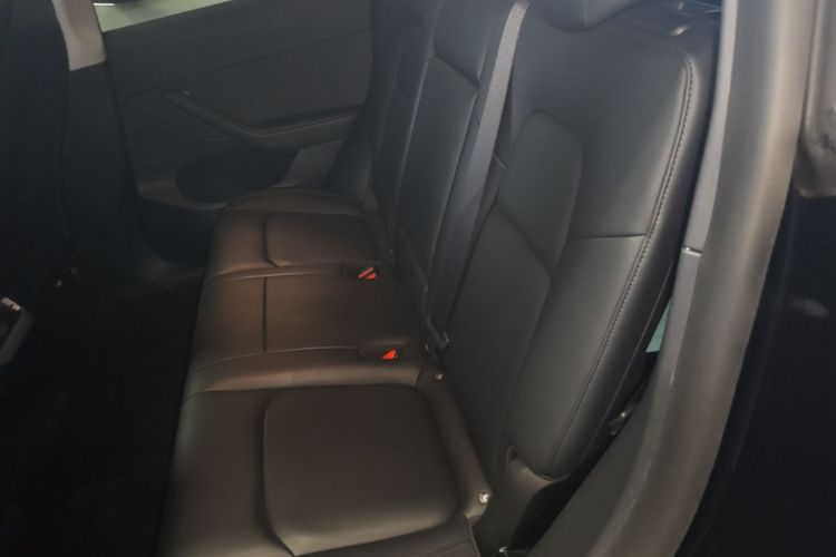 Tesla Model Y 2021 car image #13