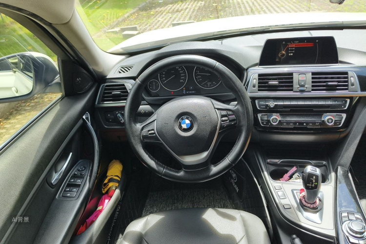 BMW 3 Series 2016 car image #12